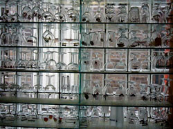 Hopleaf Bar Chicago Beer Glasses