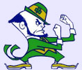 Notre Dame Fighting Irish in Chicago
